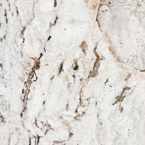 Prodotto Vaso per piante effetto corteccia, ideale per interni rustici e decorazioni vegetali, 12 cm, 4 pezzi