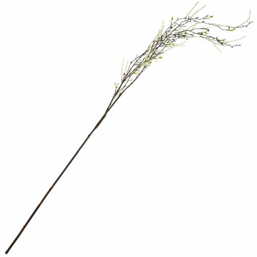 Floristik24 Ramo di betulla artificiale, ramo decorativo verde di betulla con amenti L135cm