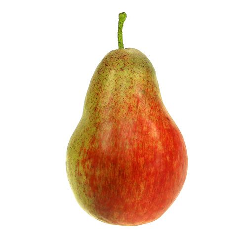 Floristik24 Rosso pera, verde 11 cm - 12 cm 3 pezzi