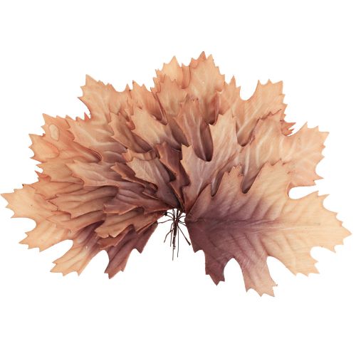 Floristik24 Foglia di quercia rossa foglie autunnali deco foglie deco 13×19cm 12pz