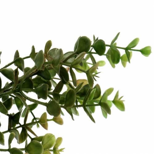 Floristik24 Ramo decorativo bosso verde 40cm