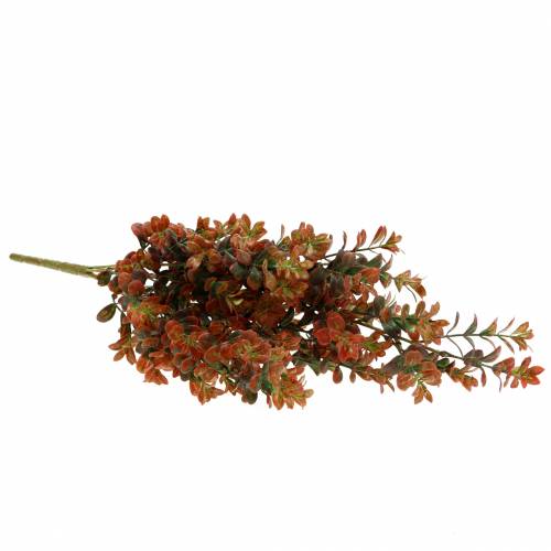 Floristik24 Ramo decorativo in bosso autunnale 50 cm