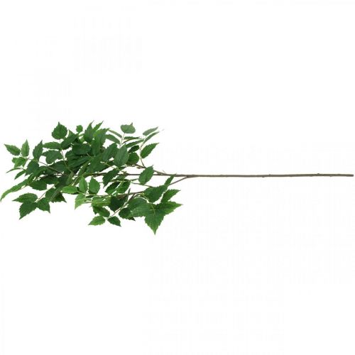 Floristik24 Ramo decorativo Ramo di foglie artificiali Ramo di betulla verde 90 cm