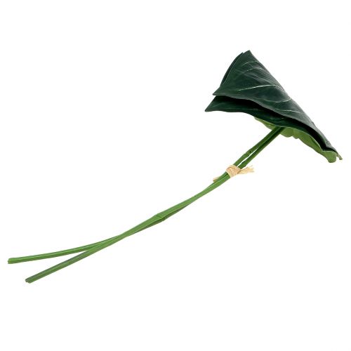 Floristik24 Foglia di caladio 32cm 2pz