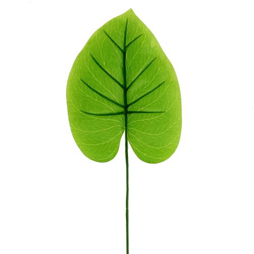 Floristik24 Foglia decorativa Funkie, Hosta 40cm 5 pezzi