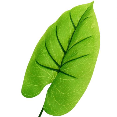 Floristik24 Foglia decorativa Funkie, Hosta 40cm 5 pezzi