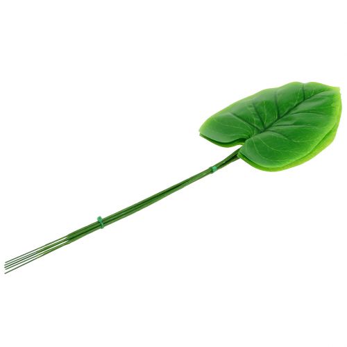 Floristik24 Foglia decorativa Funkie, Hosta 40cm 5 pezzi