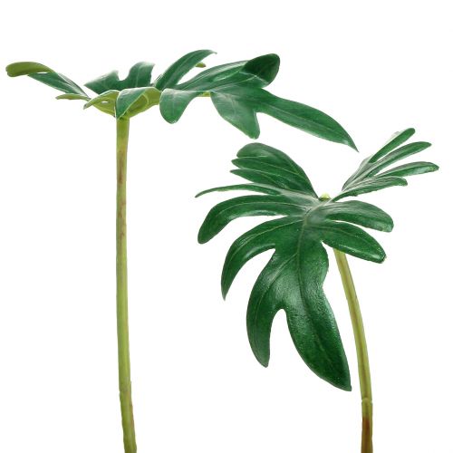 Prodotto Foglia Filodendro 31cm Verde 12 pz