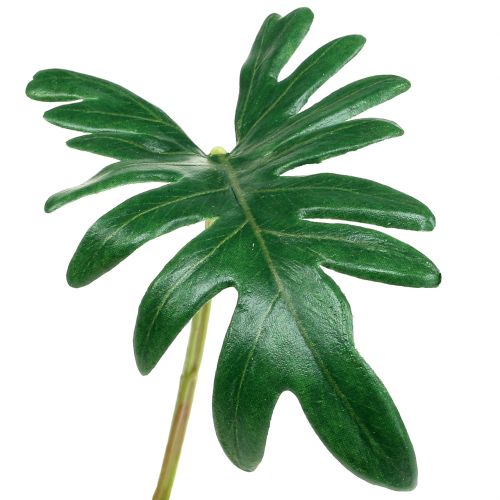 Prodotto Foglia Filodendro 31cm Verde 12 pz