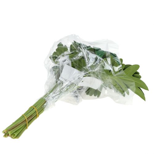 Prodotto Foglia Filodendro 31cm Verde 12 pz