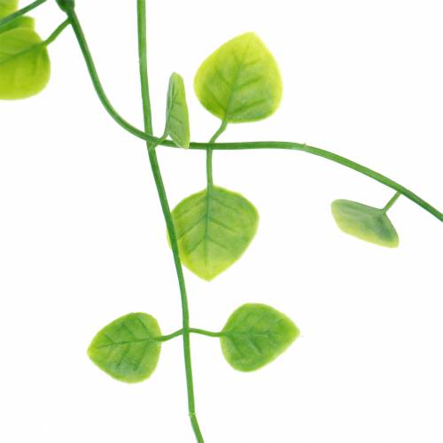 Prodotto Ghirlanda di foglie 87cm verde artificiale a 2 fili