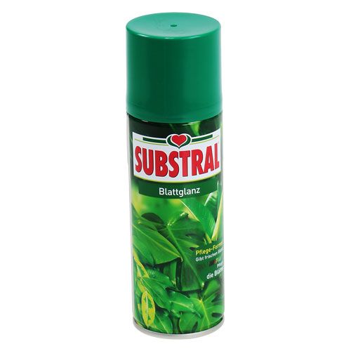 Floristik24 Foglia lucida 200ml