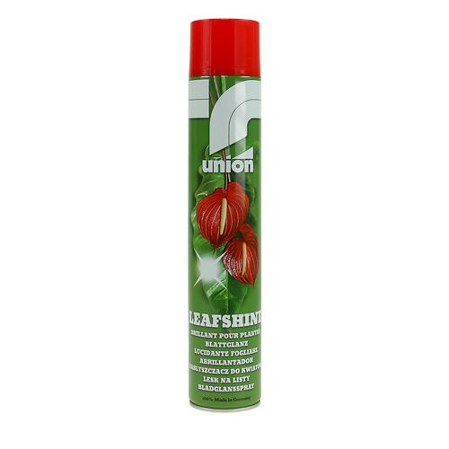 Floristik24 Spray lucidante per foglie 400ml