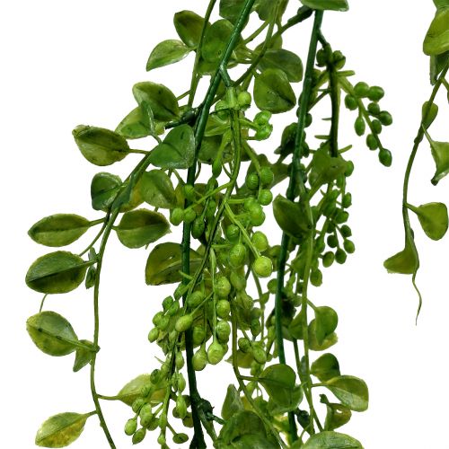 Prodotto Appendini foglia con bacche 115 cm verde