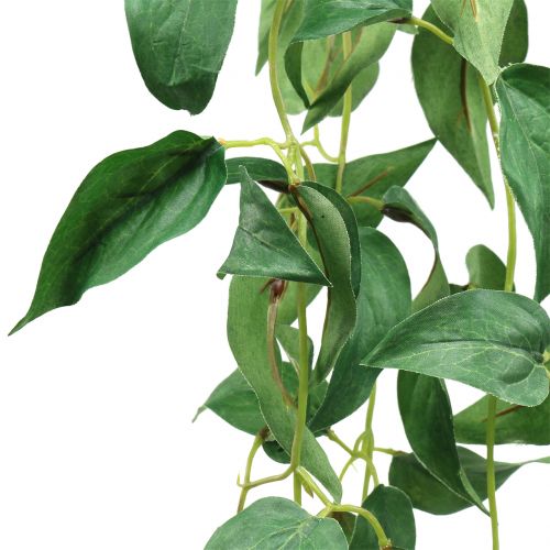 Floristik24 Appendino per foglie verde 160 cm