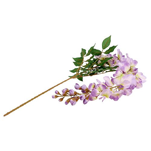 Floristik24 Glicine Glicine L104cm