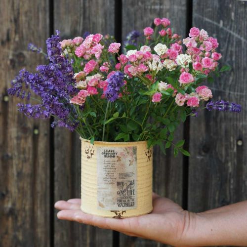 Prodotto Barattolo di latta decorazione albicocca vaso per piante in metallo Ø11cm H10.5cm