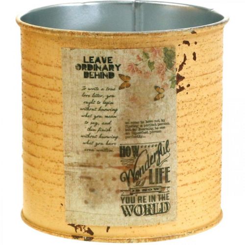 Prodotto Barattolo di latta decorazione albicocca vaso per piante in metallo Ø11cm H10.5cm