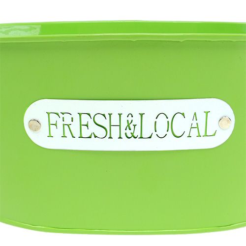 Floristik24 Ciotola di latta ovale verde 22cm x 15cm H10cm