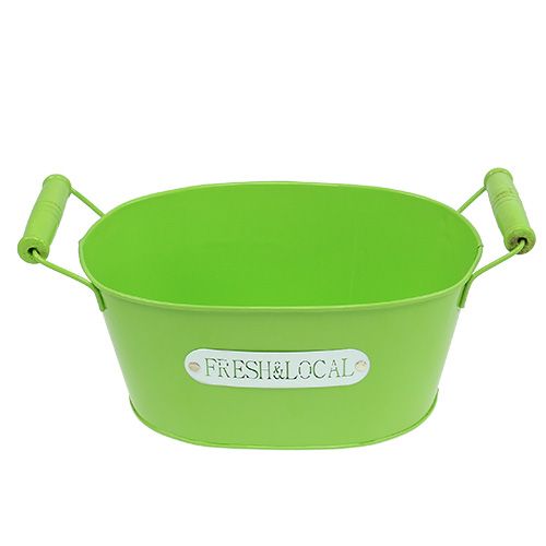 Floristik24 Ciotola di latta ovale verde 22cm x 15cm H10cm