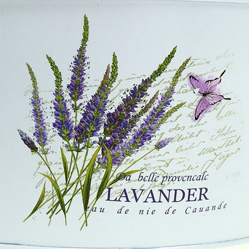 Floristik24 Set da 3 set bianco con motivo lavanda