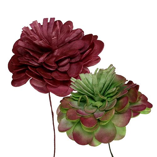 Floristik24 Fiore di schiuma 7 cm Verde / Bordeaux 12 pezzi