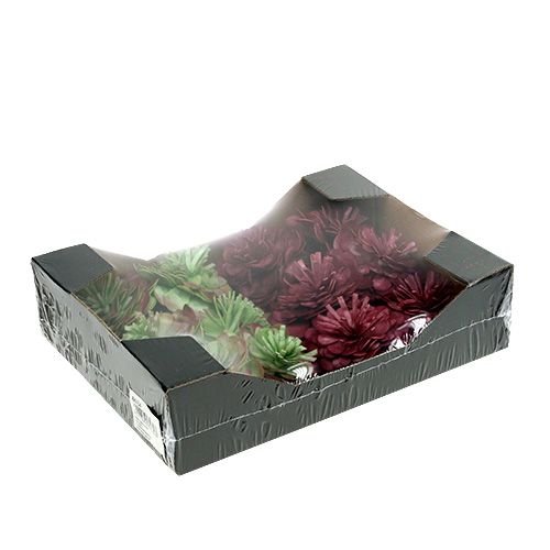 Floristik24 Fiore di schiuma 7 cm Verde / Bordeaux 12 pezzi