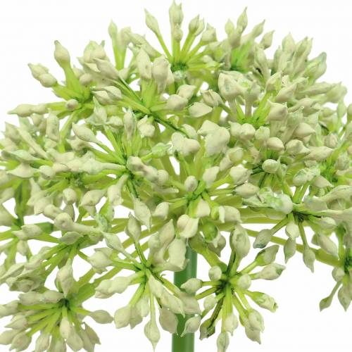 Prodotto Allium bianco artificiale 55 cm