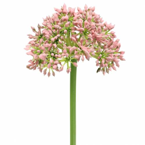 Prodotto Allium artificiale Rosa 55cm