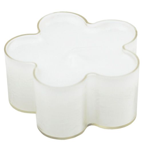 Floristik24 Fiore bianco chiaro 12 pezzi