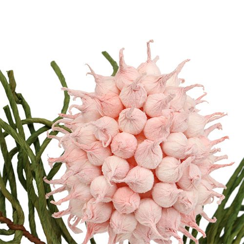 Prodotto Ramo di fiori Schiuma Rosa/Verde 65cm