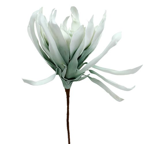 Floristik24 Schiuma di ramo di fiori bianco, verde 72 cm