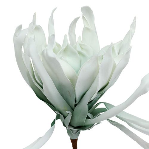 Prodotto Schiuma di ramo di fiori bianco, verde 72 cm