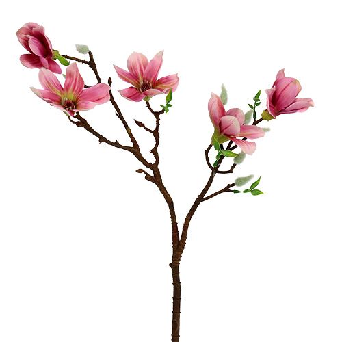 Floristik24 Magnolia mini rosa, rosa L53cm 3 pezzi