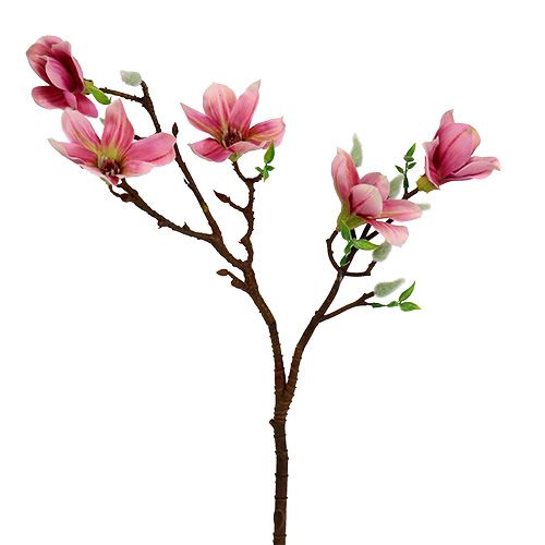 Magnolia mini rosa, rosa L53cm 3 pezzi