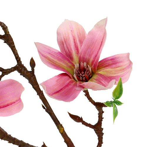 Floristik24 Magnolia mini rosa, rosa L53cm 3 pezzi