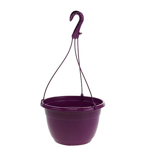 Floristik24 Cesto sospeso 25 cm viola