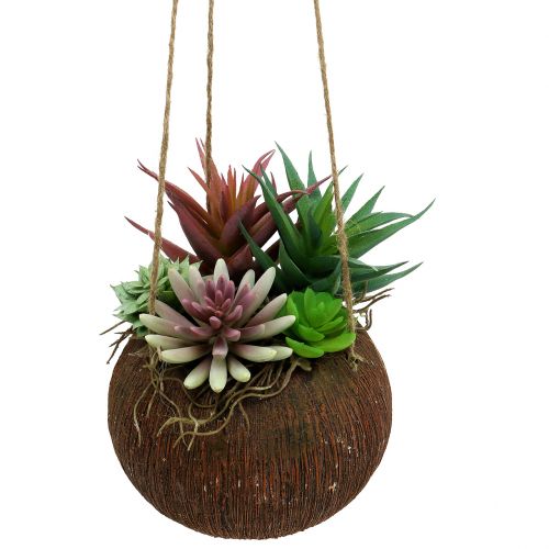 Floristik24 Cestino da appendere con piante grasse artificiali L65cm Ø16cm