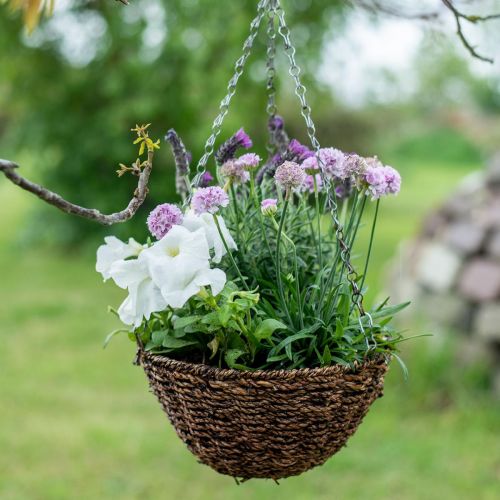 Prodotto Cesto di fiori cesto sospeso marrone cesto appeso cesto per piante Ø25cm