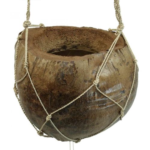 Prodotto Cesto di fiori cocco decorazione marittima carillon di vento natura 110 cm