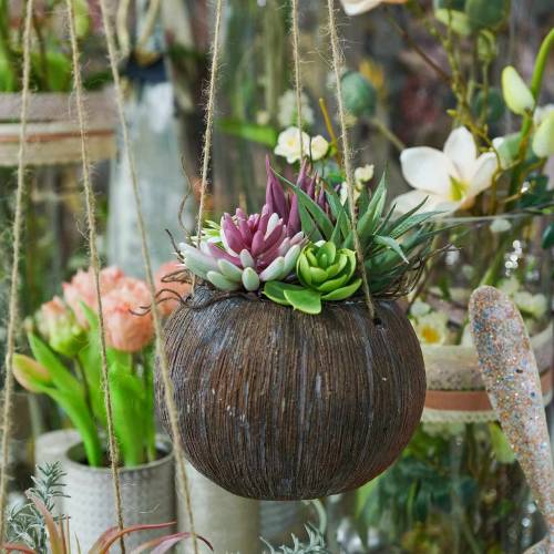 Floristik24 Cestino da appendere con piante grasse artificiali L65cm Ø16cm