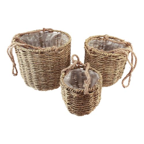 Floristik24 Cesto sospeso per fioriera in alghe Ø15/20/25 cm, set da 3