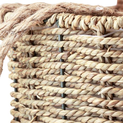 Floristik24 Cesto sospeso per fioriera in alghe Ø15/20/25 cm, set da 3