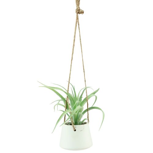 Prodotto Cestini sospesi piante grasse artificiali verdi assortiti 18 cm 3 pezzi