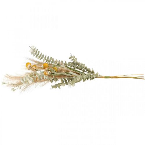 Prodotto Fiori artificiali Craspedia piuma erba eucalipto mazzo 55cm