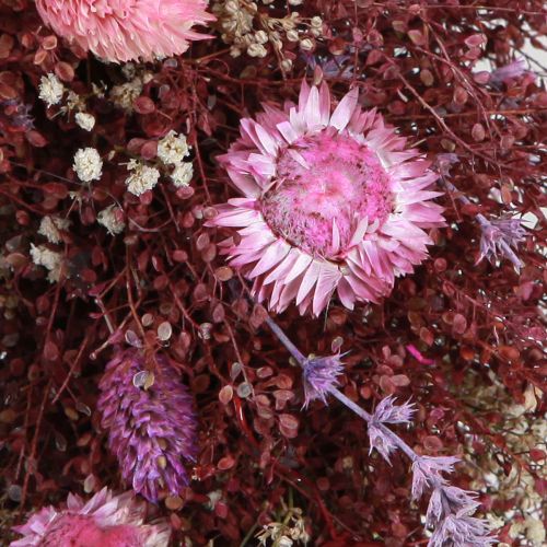Floristik24 Ghirlanda di fiori Ghirlanda di fiori secchi vino rosso rosa Ø25cm