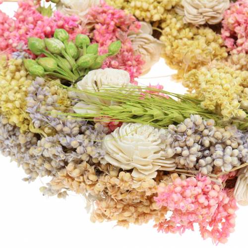 Floristik24 Ghirlanda decorativa di erba secca e fiori artificiali colorata Ø20cm