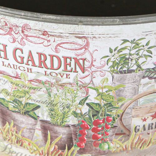 Prodotto Ciotola per fiori vintage in plastica Fresh Garden colorata Ø21cm 2pz