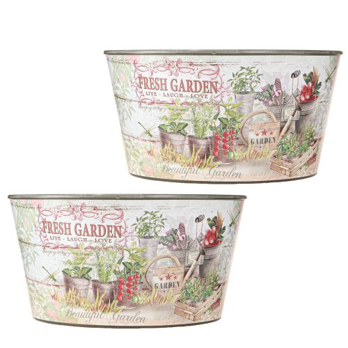 Prodotto Ciotola per fiori vintage in plastica Fresh Garden colorata Ø21cm 2pz