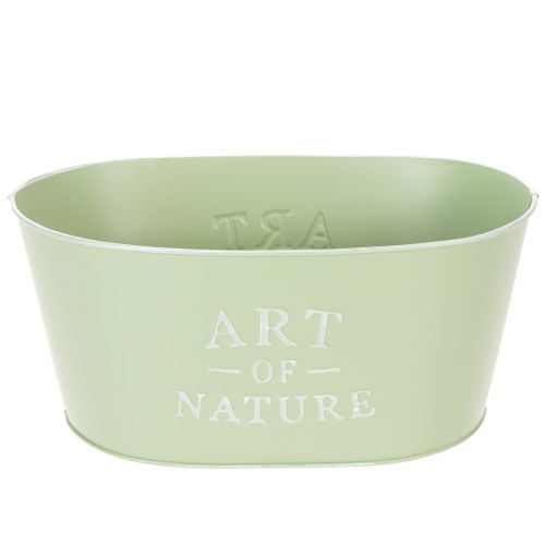 Vaso per fiori ovale in zinco color verde menta, 27×18 cm, altezza 12,5 cm. acquistare | Floristik24.it